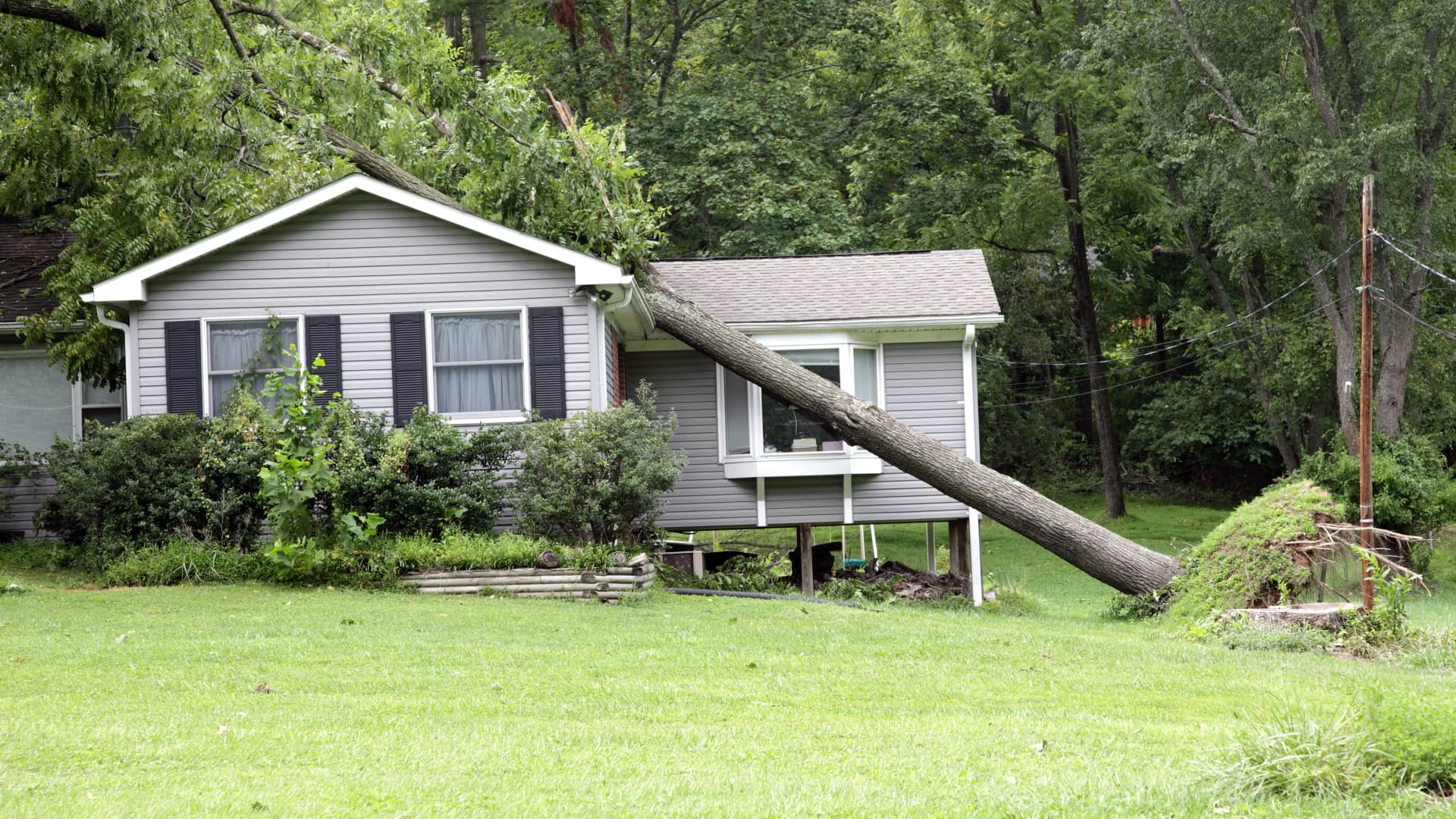 5 Surprising Things Your Home Insurance Covers