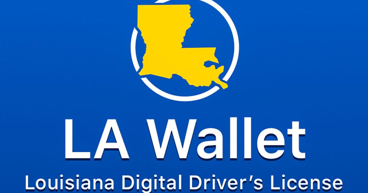 Louisiana residents now need LA Wallet to access porn online |  State policy